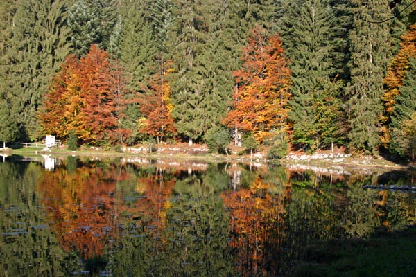 Le lac de Genin est un magnifique miroir lorsque arrivent les couleurs automnales.