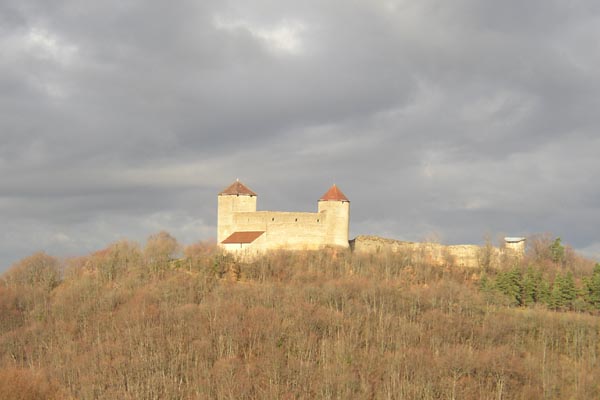 Ch�teau des Allymes