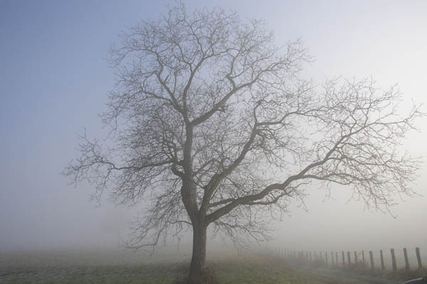 Il va faire beau ! C'est ce que semble nous dire la nature, ce matin-l�.