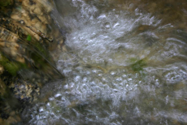 Composition aquatique