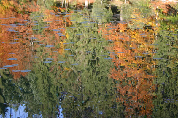 Reflets sur le lac de Genin en automne