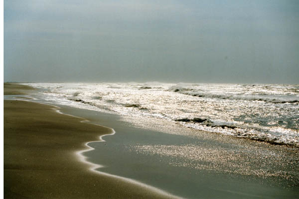 Coucher de soleil en Camargue