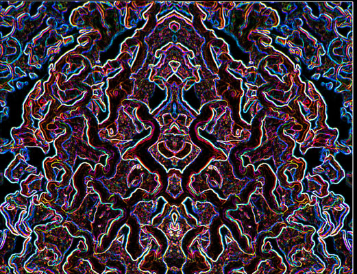 Kal�idoscope ? Et bien non, c'est toujours un morceau de lichen !