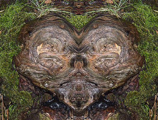 Personnage �trange qui semble nous dire : qui suis-je ?