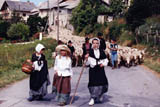 Transhumance